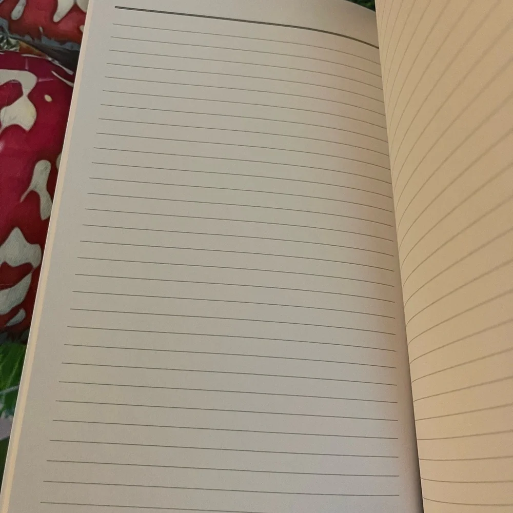 Where The Wild Things Are Notebook, NWOT 👑